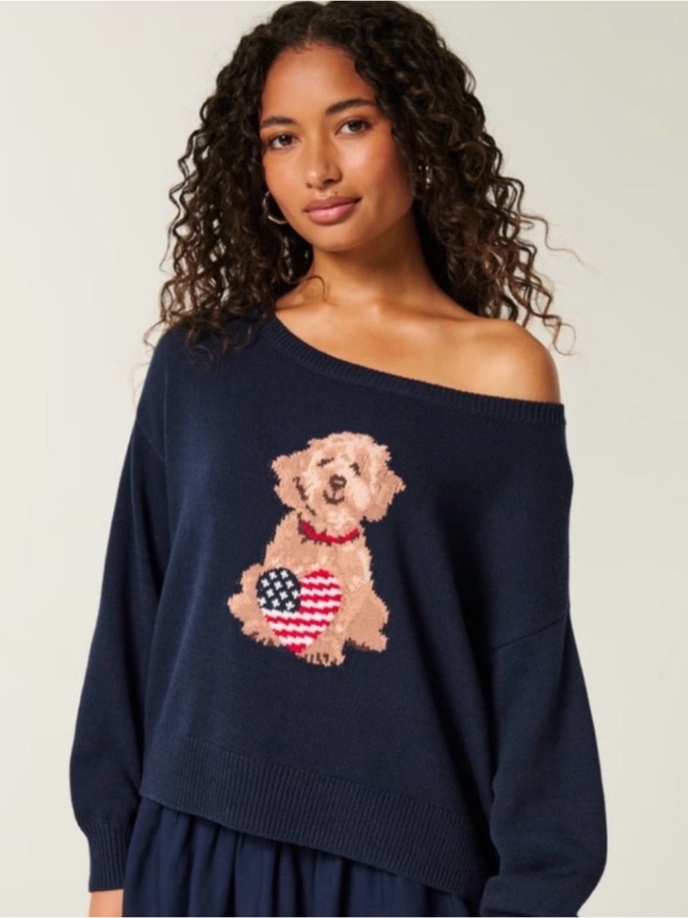 Hollister Easy Off-the-Shoulder Dog Graphic Sweater USA Flag